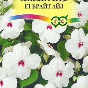 Бальзамин Брайт Айз Уоллера F1 * 5 шт. Н11
