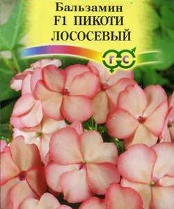 Бальзамин Уоллера F1 Пикоти лососевый* 5 шт. Н11