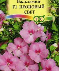 Бальзамин Уоллера F1 Неоновый свет* 5 шт. Н11