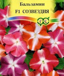 Бальзамин Уоллера F1 Созвездия *, смесь 5 шт. Н11
