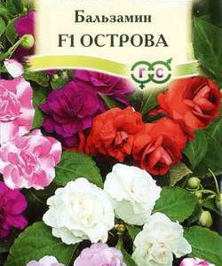 Бальзамин Уоллера F1 Острова махр. *, смесь 5 шт. Н11