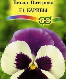 Виола Карибы F1, Виттрока (Анютины глазки)* 5 шт. Н11