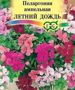 Пеларгония Летний дождь, ампельная смесь* 3 шт. Н11