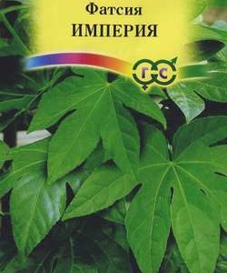 Фатсия японская Империя* 5 шт. Н11