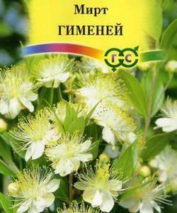 Мирт Гименей 5 шт Н11