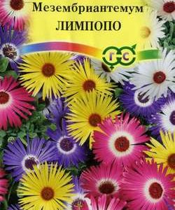 Мезембриантемум хрустальный Лимпопо* 0,1 г Н11