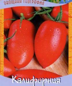 Томат Калифорния 0,1 г серия География