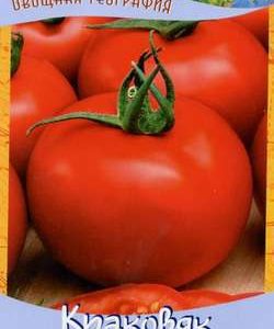 Томат Краковяк 0,1 г География