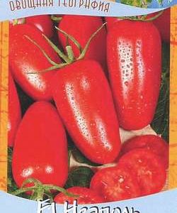 Томат Неаполь 0,1 г серия География Н9