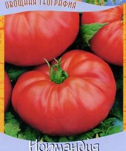 Томат Нормандия 0,2 г серия География Н9
