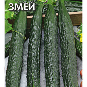 Огурец Китайский змей 0,5 г Н11