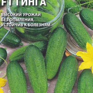 Огурец Гинга F1 0,3 г Н11