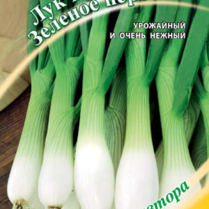 Лук на зелень Зеленое перо 0,5 г автор. Н11