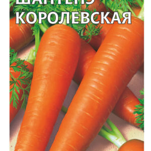 Морковь Шантенэ королевская 2 г Н11