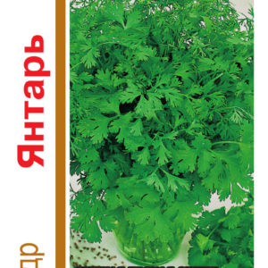 Кориандр Янтарь серия 1+1/5,0 г