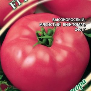 Томат Розбиф F1 12 шт. автор. Н12