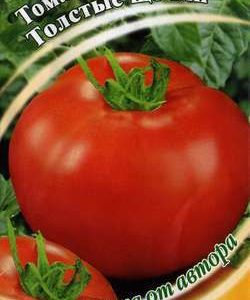 Томат Толстые щечки 0,1 г автор. Н11
