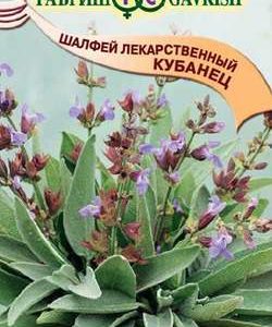 Шалфей лекарственный Кубанец 0,3 г Н11