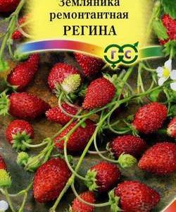 Земляника Регина* 0,03 г Н11