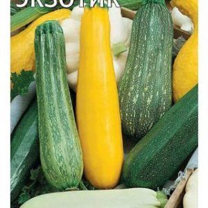 Кабачок Экзотик, смесь 2 г Н11