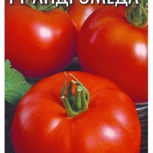 Томат Андромеда F1 0,05 г Н11