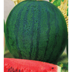 Арбуз Холодок 1,0 г