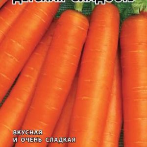 Морковь Детская сладость 2 г Н11