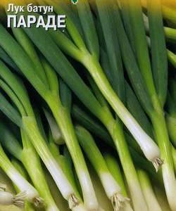 Лук батун Параде 0,5 г на зелень!(Голландия) Н11