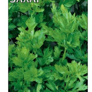 Сельдерей Захар листовой 0,3 г