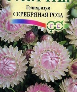 Гелихризум Серебряная роза* 0,01 г Н9
