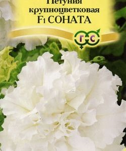 Петуния Соната F1махр. крупноцв. 5 шт. гранул. проб. сер. Элитная клумба Н11