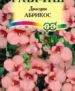 Диасция Розовая* 5 шт.