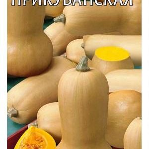Тыква Прикубанская 2,0 г Н12
