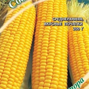 Кукуруза Соблазн сахарная 5 г автор. Н11