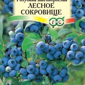 Голубика высокорослая Лесное сокровище 30 шт.