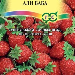 Земляника Али Баба* 0,03 г Н11