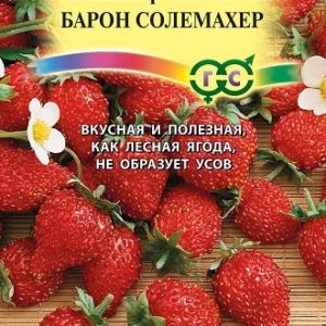 Земляника Барон солемахер* 0,03 г Н11