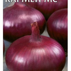 Лук репч. Кармен МС 1,0 г Н12