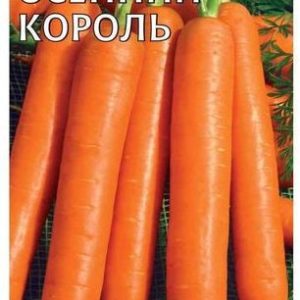 Морковь Осенний король 2 г Н11
