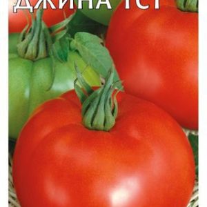 Томат Джина ТСТ 0,1 г Н11