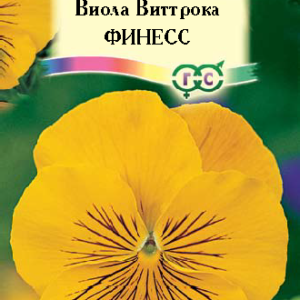 Виола Финесс, Виттрока (Анютины глазки)* 5 шт.