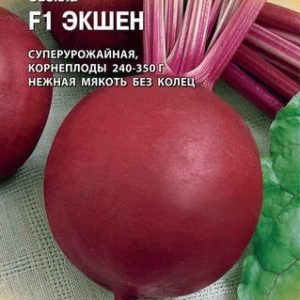 Свекла Экшен F1 1,0 г (Голландия) Н12