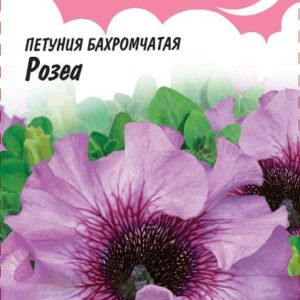 Петуния Розеа бахромч. 10 шт. пробирка серия Розовые сны