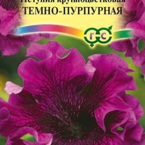 Петуния Темно-пурпурная бахр. 10 шт. пробирка