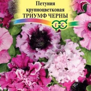Петуния Триумф Черны бахромч. 10 шт. пробирка Н12