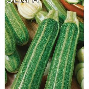 Кабачок Зебра 2 г