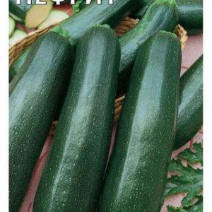 Кабачок Нефрит 1 г