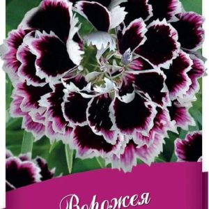 Гвоздика китайская Ворожея* 0,1 г Н14 серия Блэк