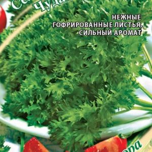 Сельдерей Чудак лист. кудрявый 0,3 г автор*. Н9