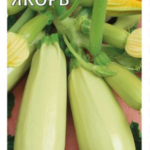 Кабачок Якорь 2 г